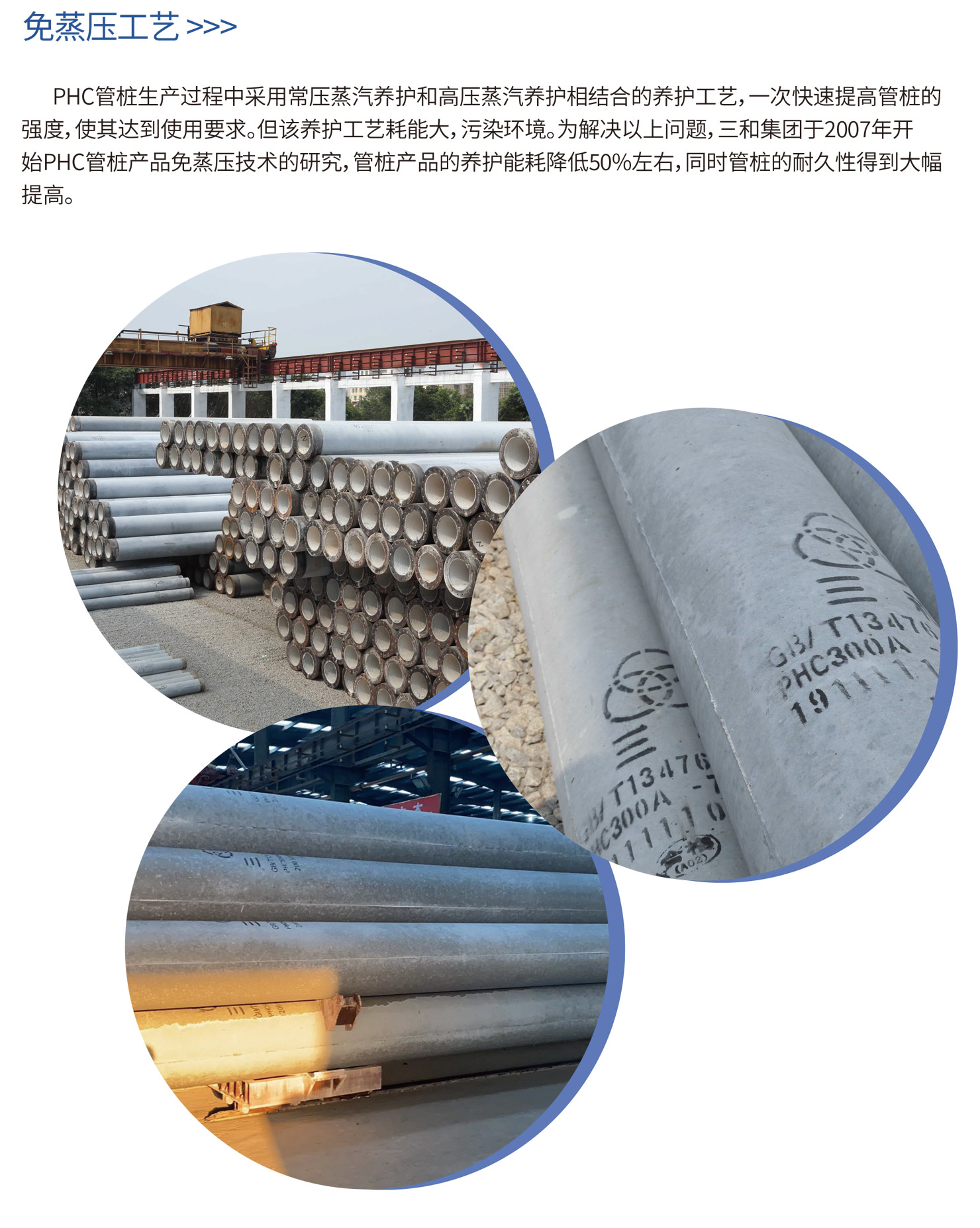 貴州矛香豬銷售有限公司